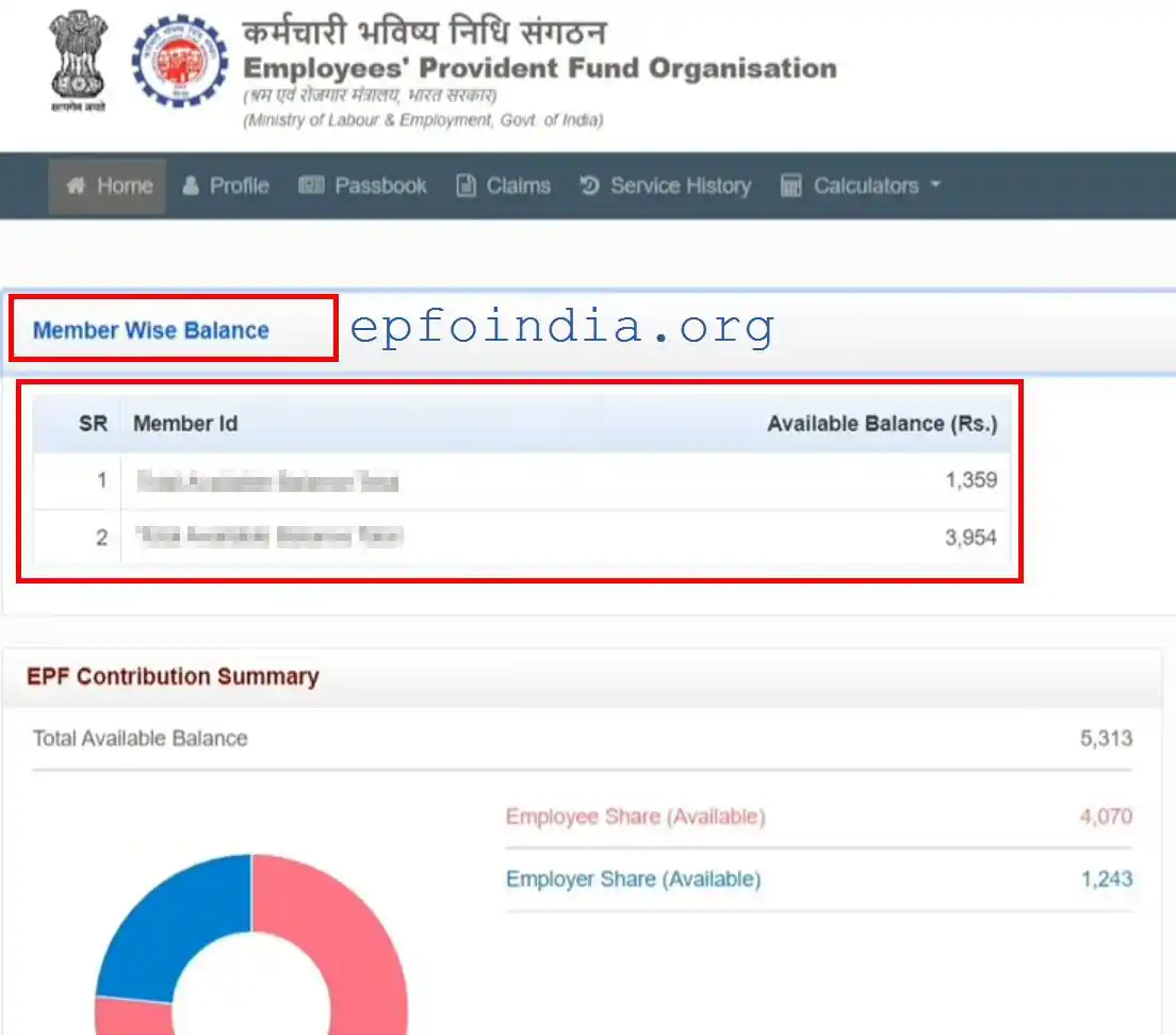 EPF members wise balance
